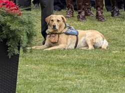 pxl 20251111 192144914