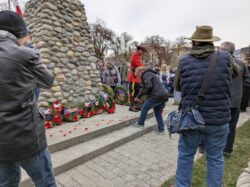 pxl 20251111 192858691