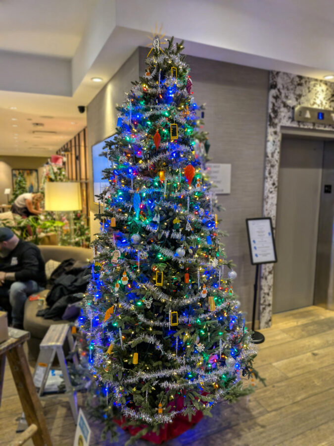 pxl 20251114 194842169.mp