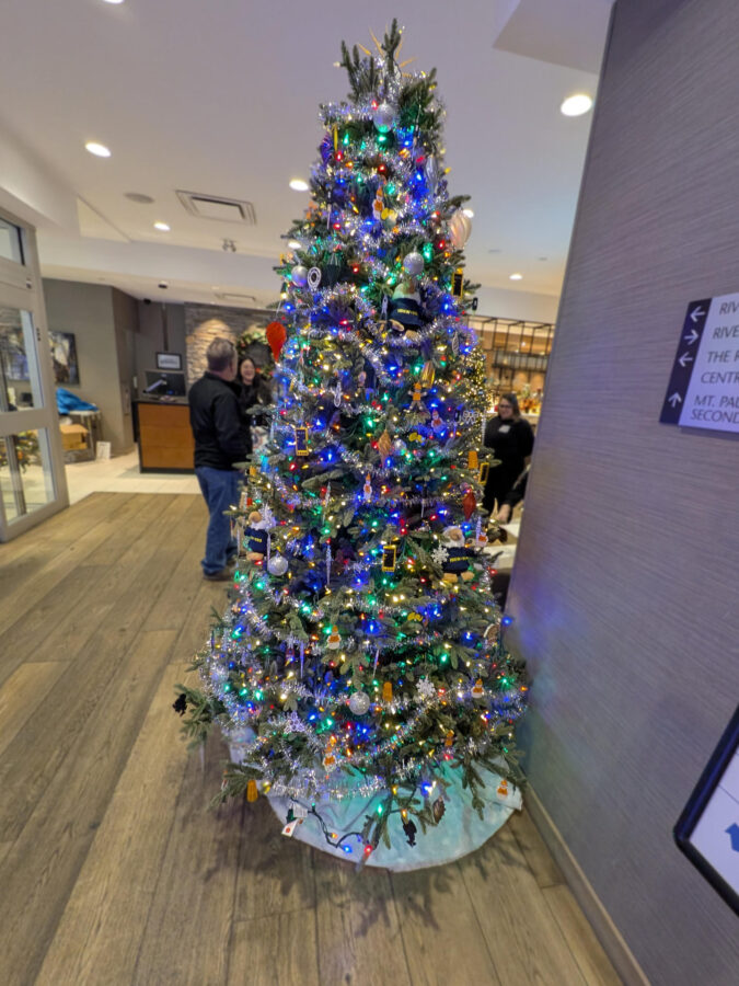 pxl 20251114 212100947.mp