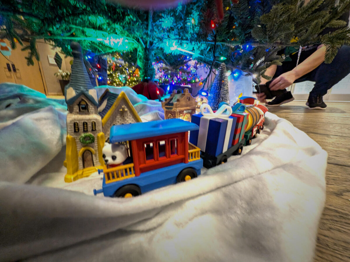 pxl 20251114 212249314