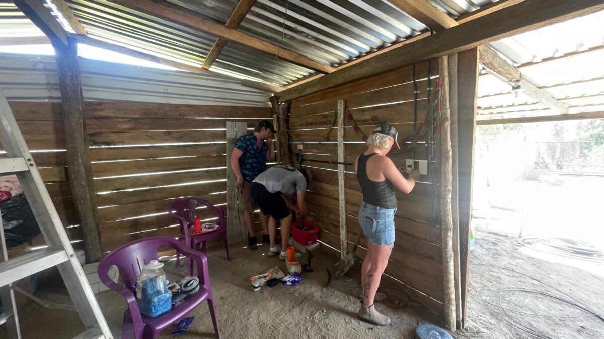 19bef1f7 f893 4eaf 8e86 2116b12e7b8b