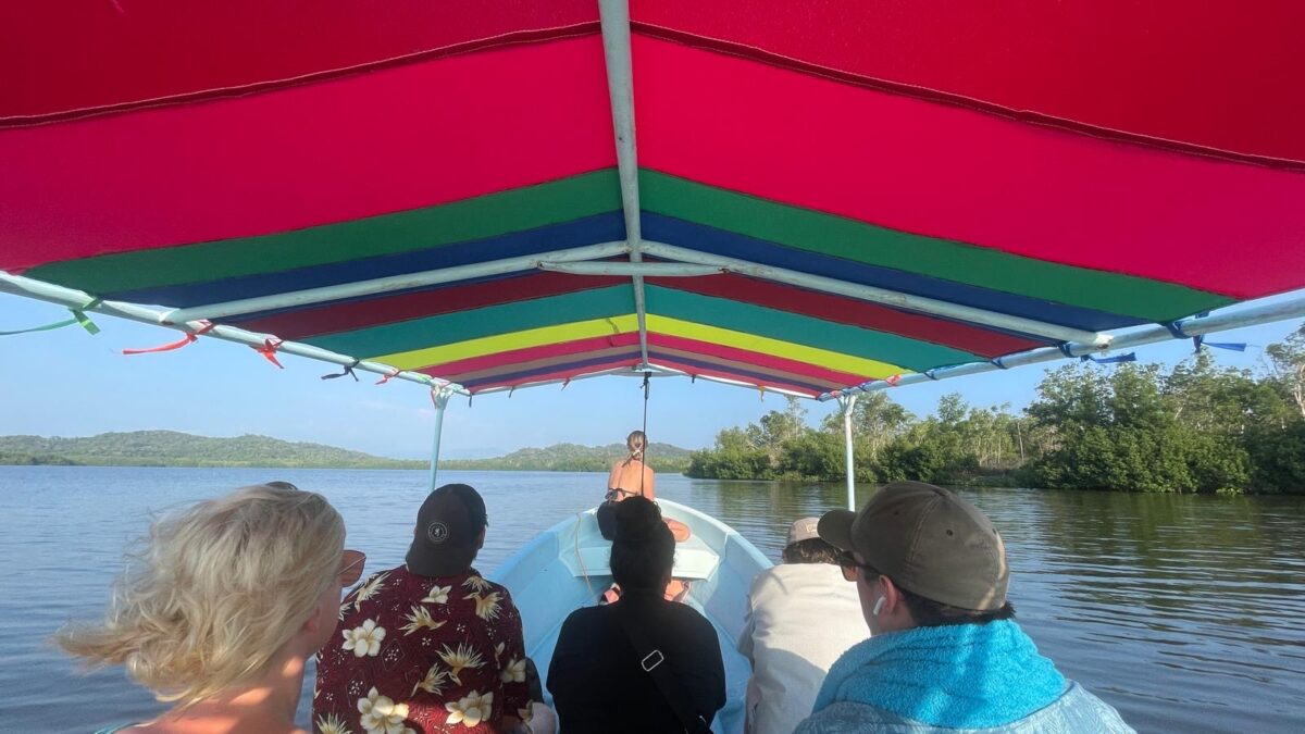 c35b8b72 7a4e 4fa7 aed0 ed529eaa5c60