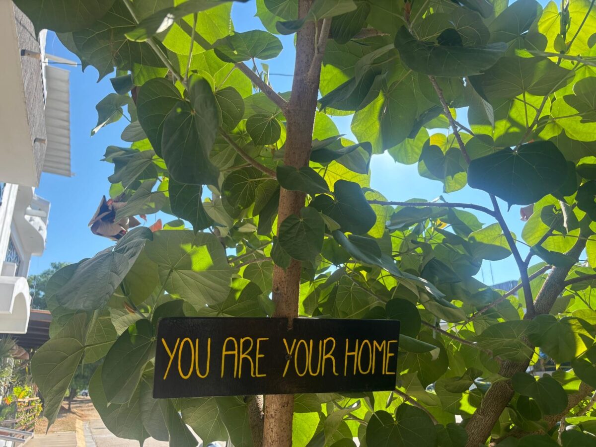 c5cb2023 621a 47cf bc58 0096c1dff8c0