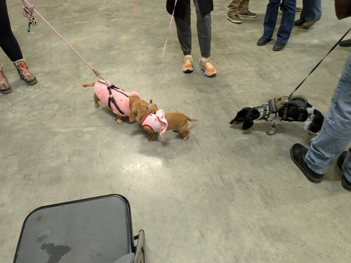 pxl 20260208 024755244.mp (custom)