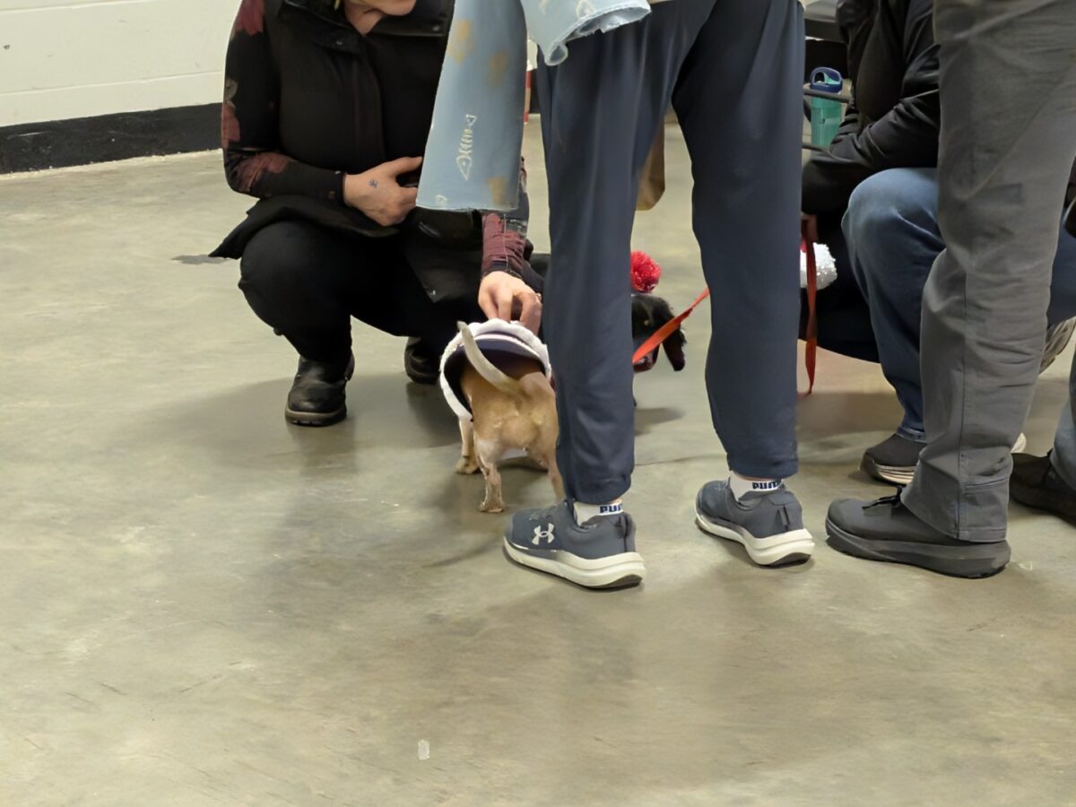 pxl 20260208 024809259 (custom)