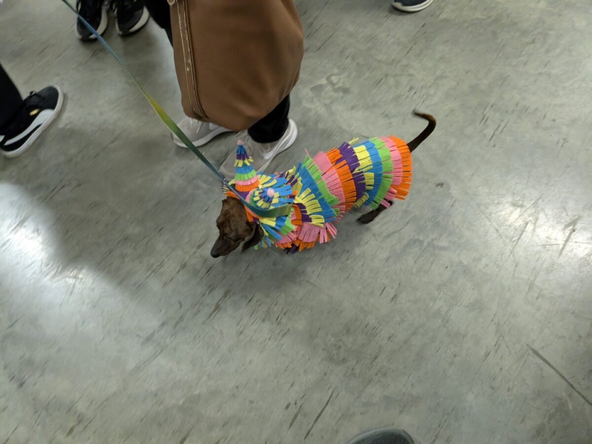 pxl 20260208 024830872.mp (custom)