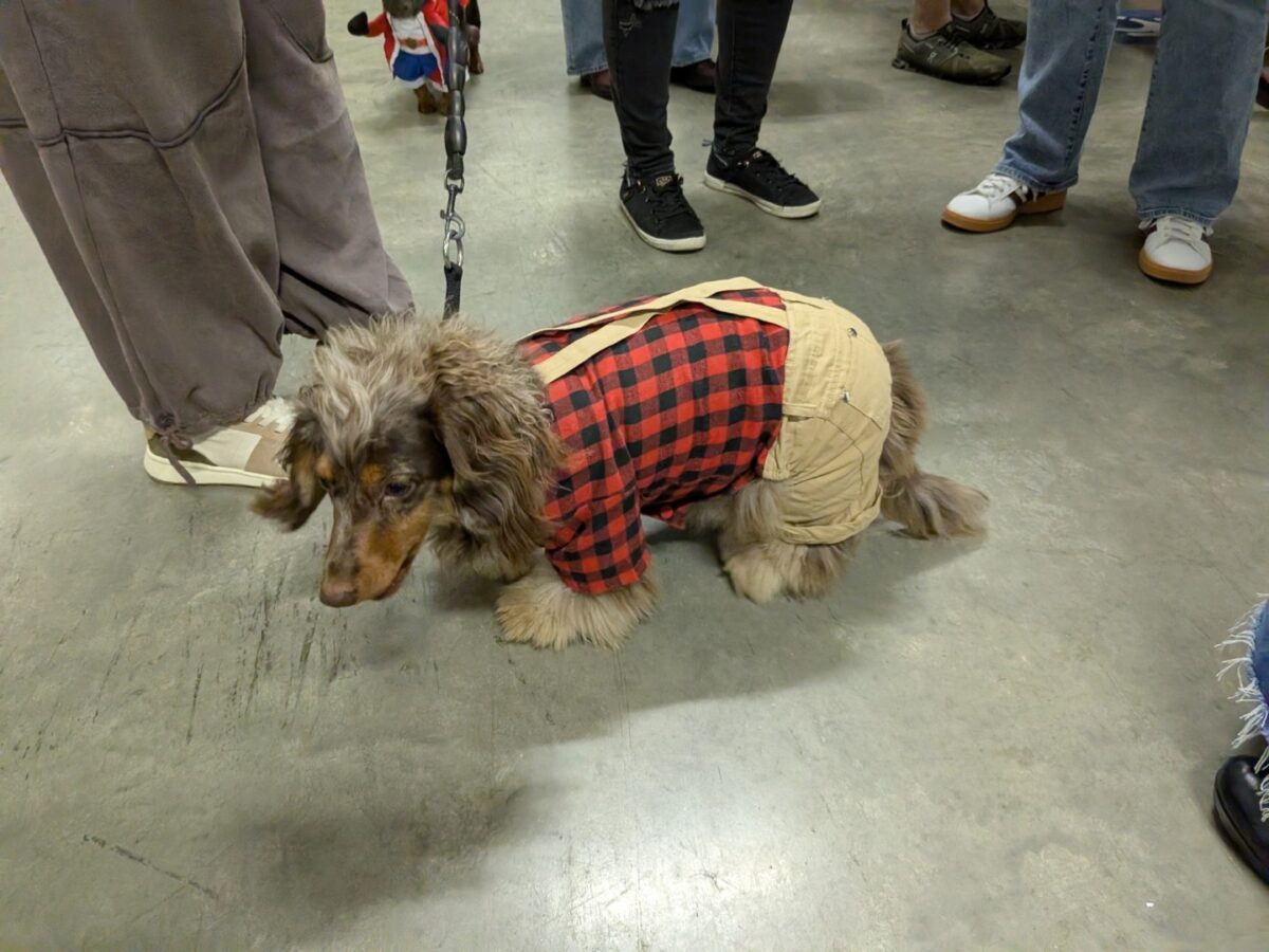 pxl 20260208 031114390.mp (custom)