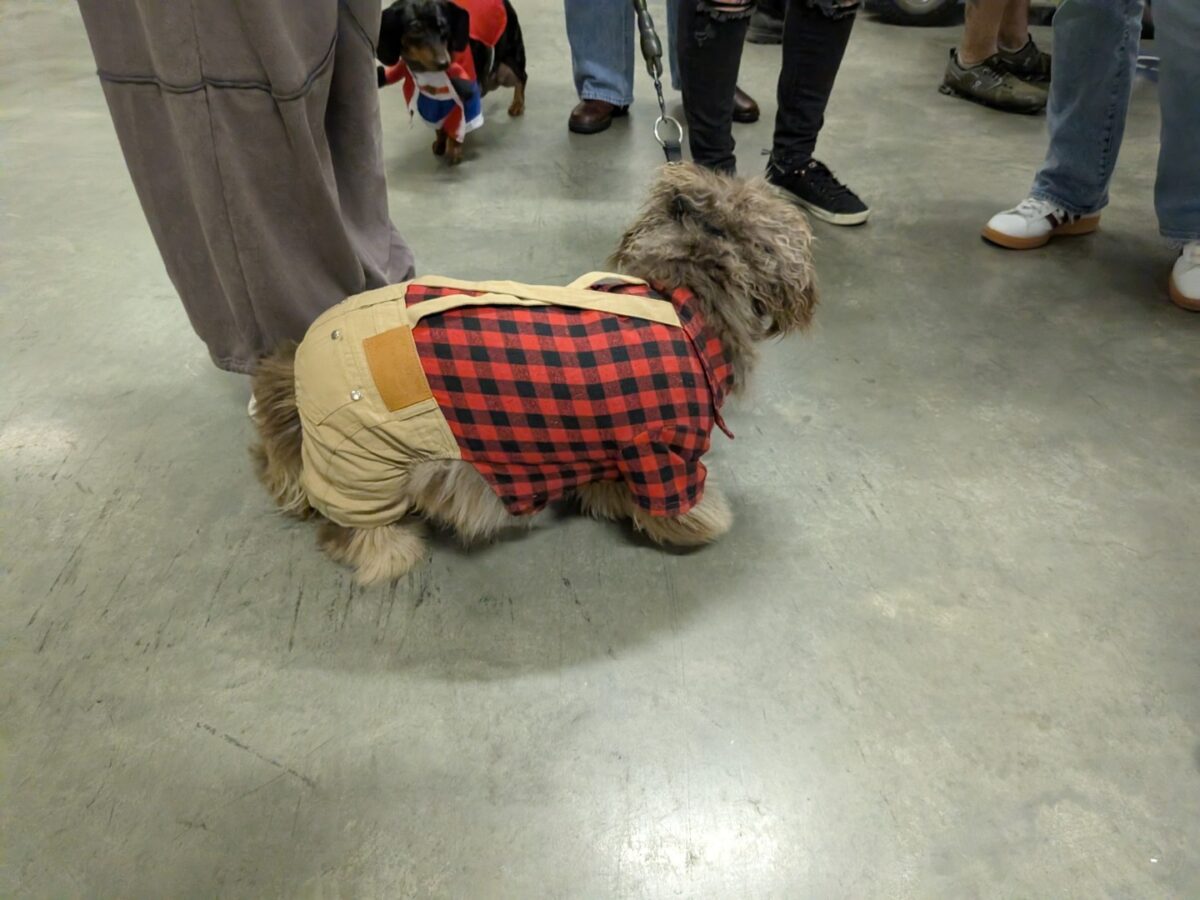 pxl 20260208 031115867 (custom)