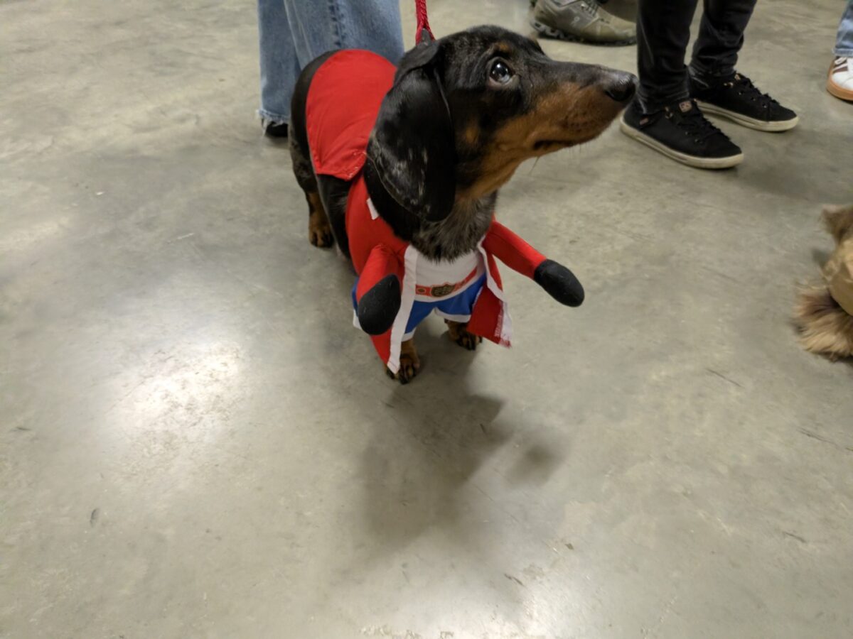 pxl 20260208 031121986 (custom)