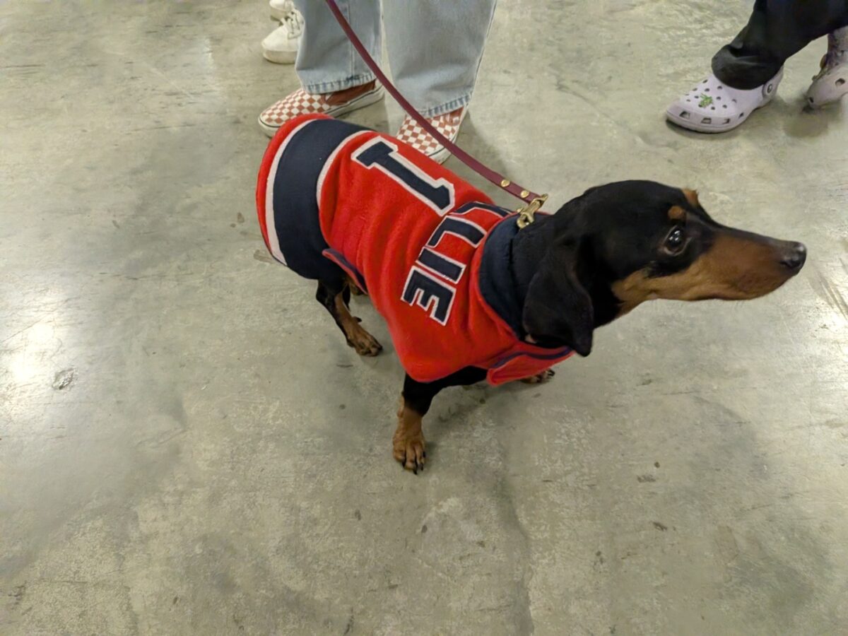 pxl 20260208 031223261.mp (custom)