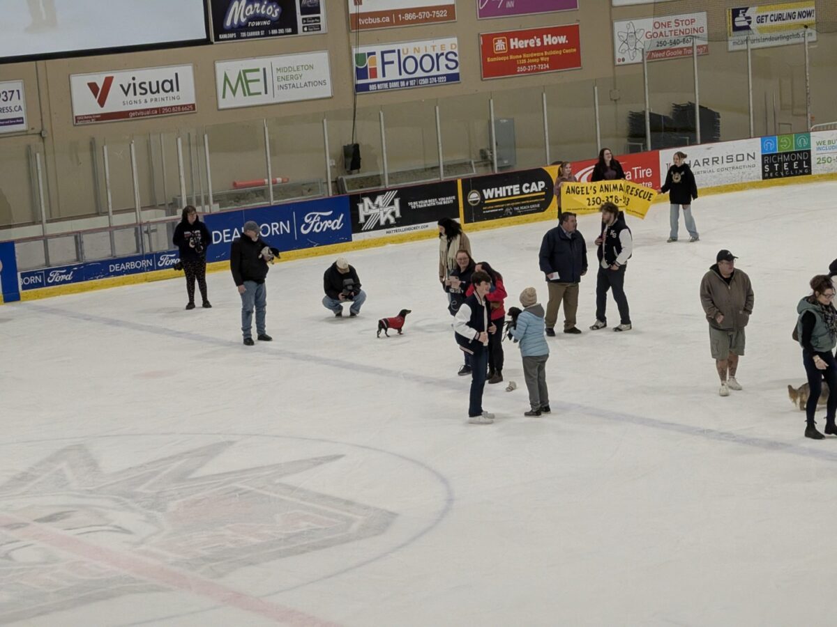 pxl 20260208 034724427 (custom)