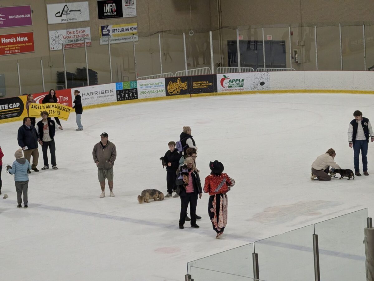 pxl 20260208 034726124 (custom)