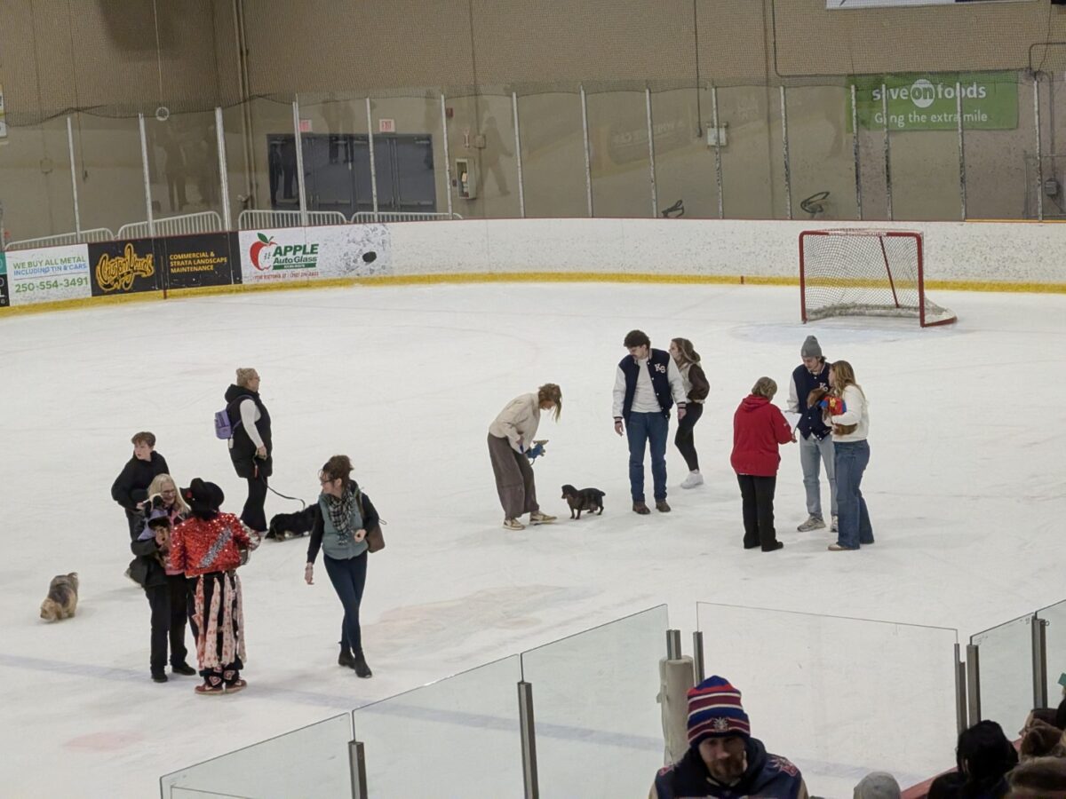 pxl 20260208 034728359 (custom)