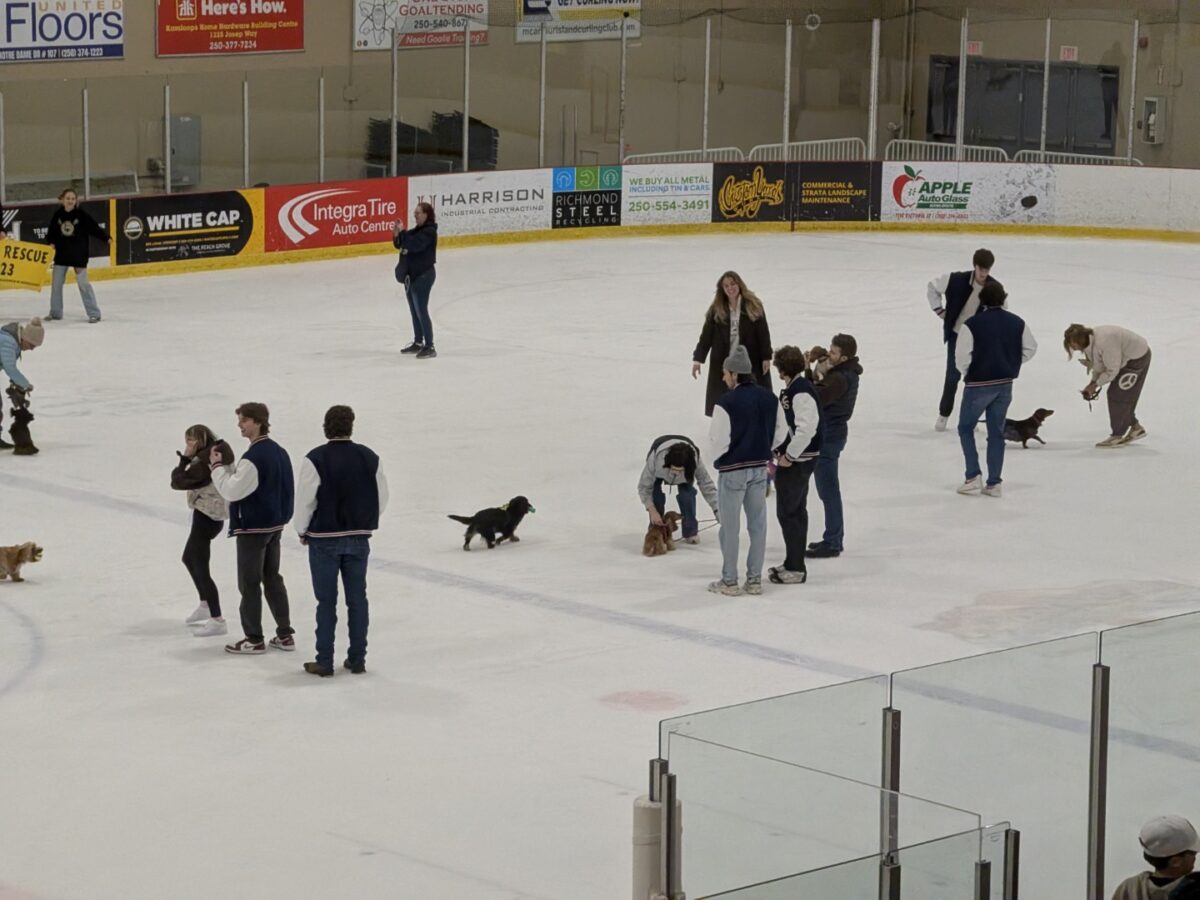 pxl 20260208 044446813 (custom)