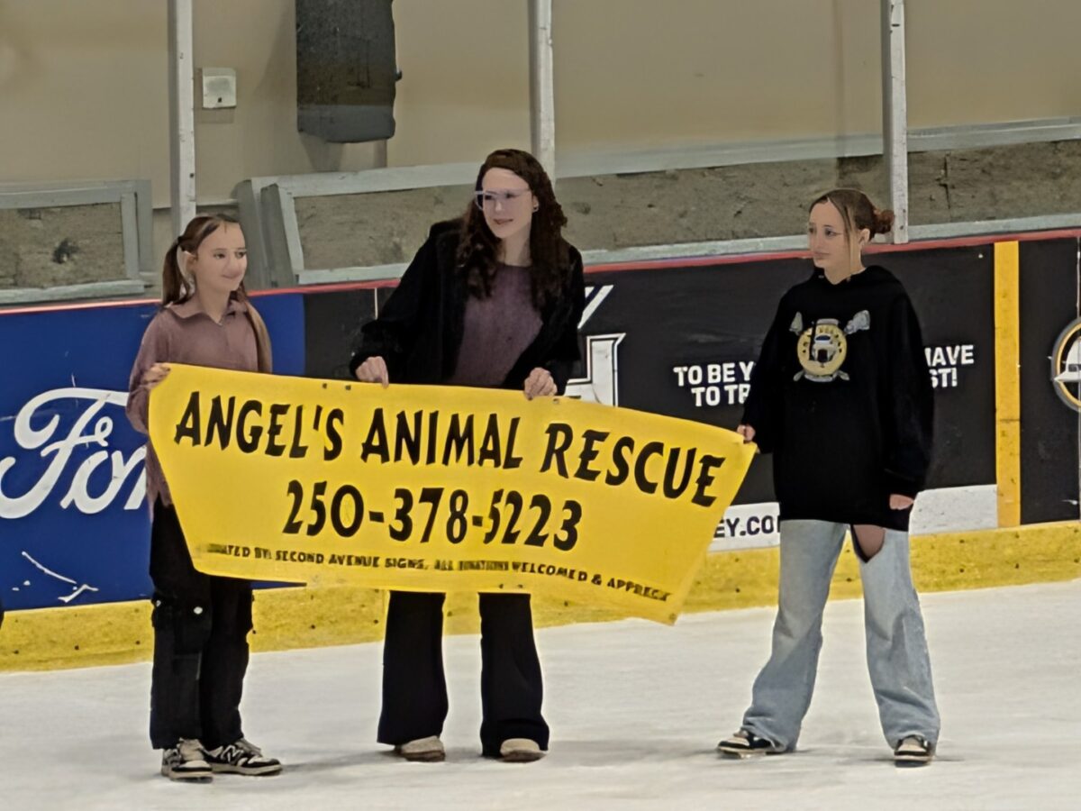 pxl 20260208 044454976 (custom)