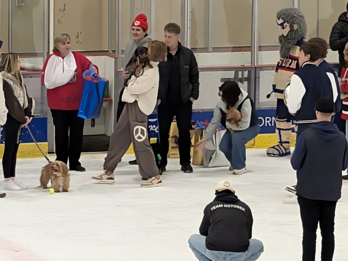 pxl 20260208 044637164 (custom)