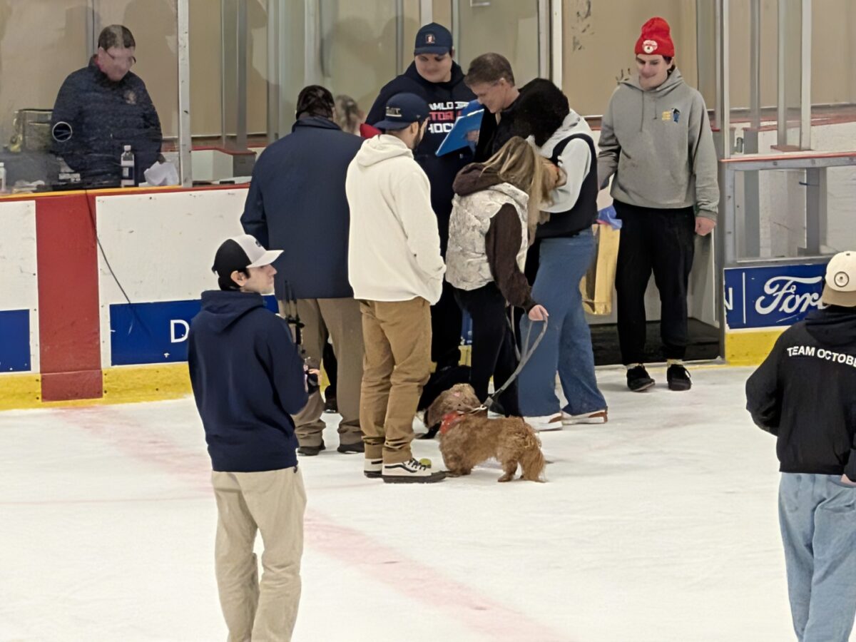 pxl 20260208 044700503 (custom)