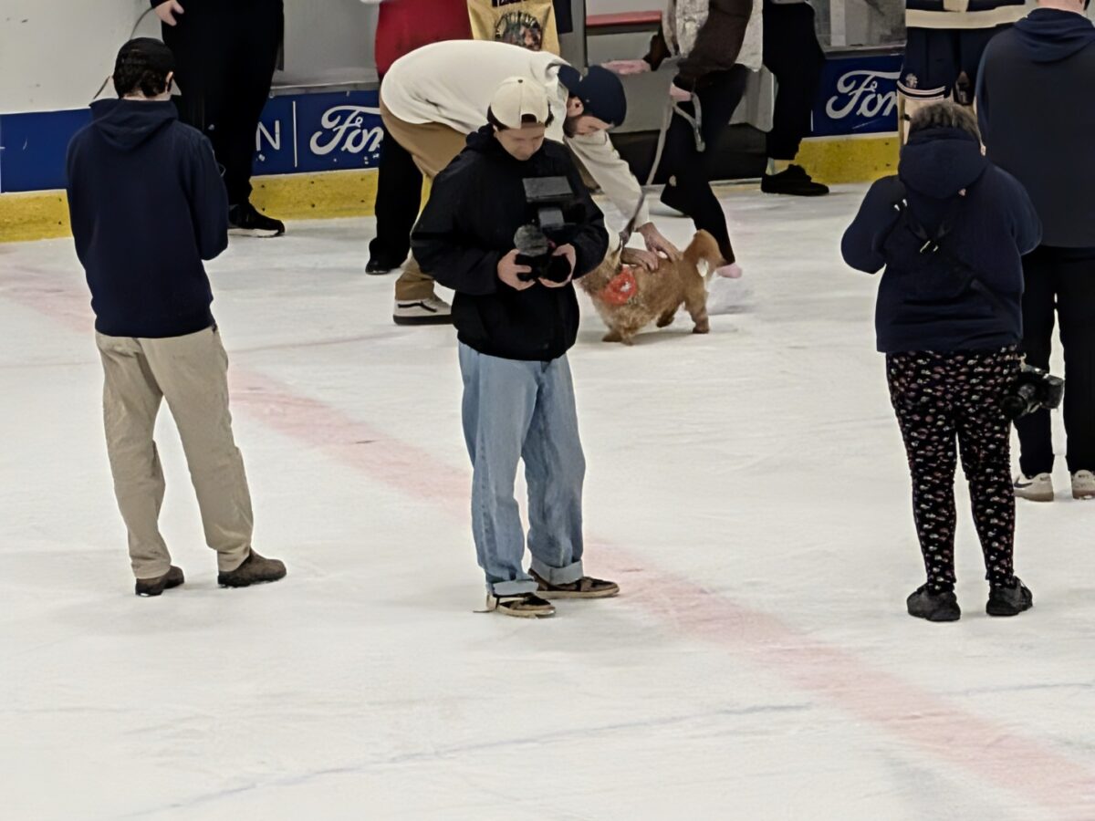 pxl 20260208 044716271 (custom)